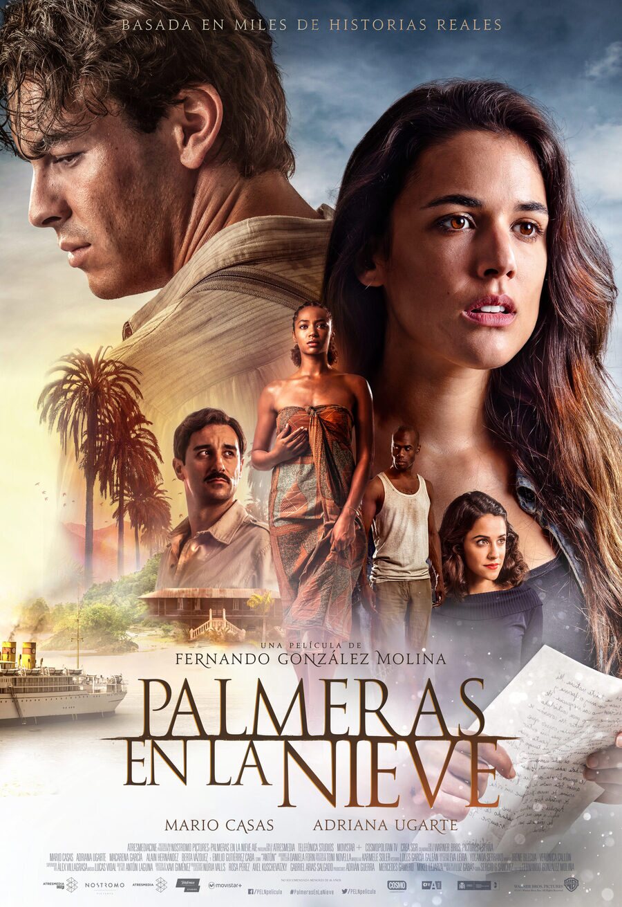 Cartel de Palmeras en la nieve - Oficial