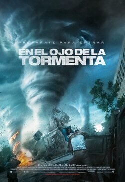 Cartel de En el ojo de la tormenta