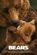 Cartel de Bears