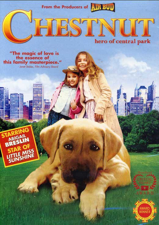 Cartel de Chestnut, el héroe de Central Park - Estados Unidos
