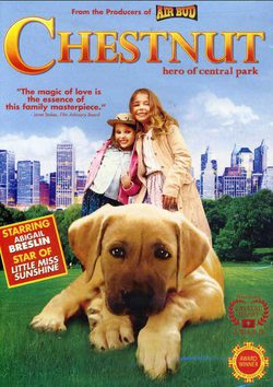 Cartel de Chestnut, el héroe de Central Park