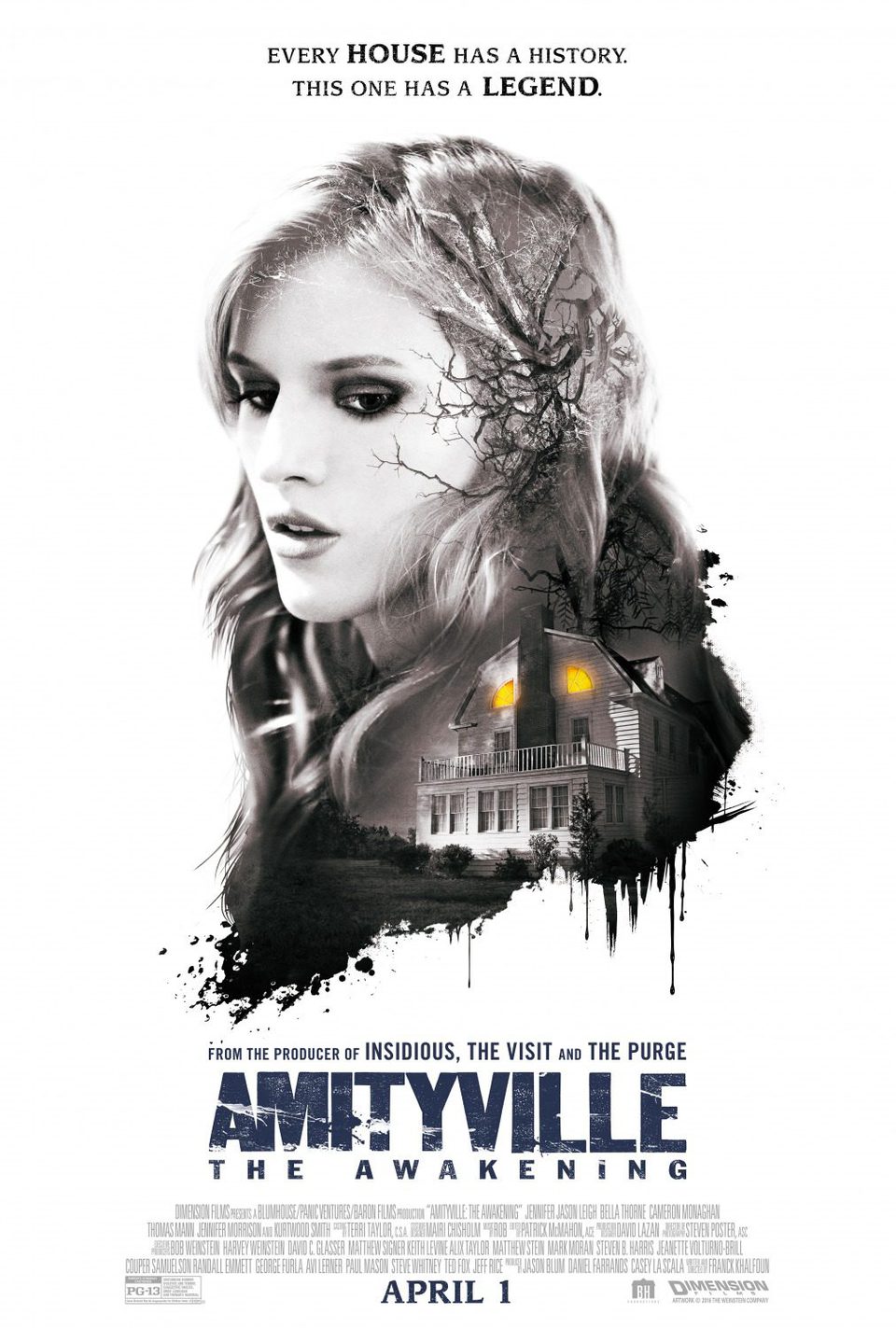 Cartel EE.UU. de 'Amityville: El despertar'