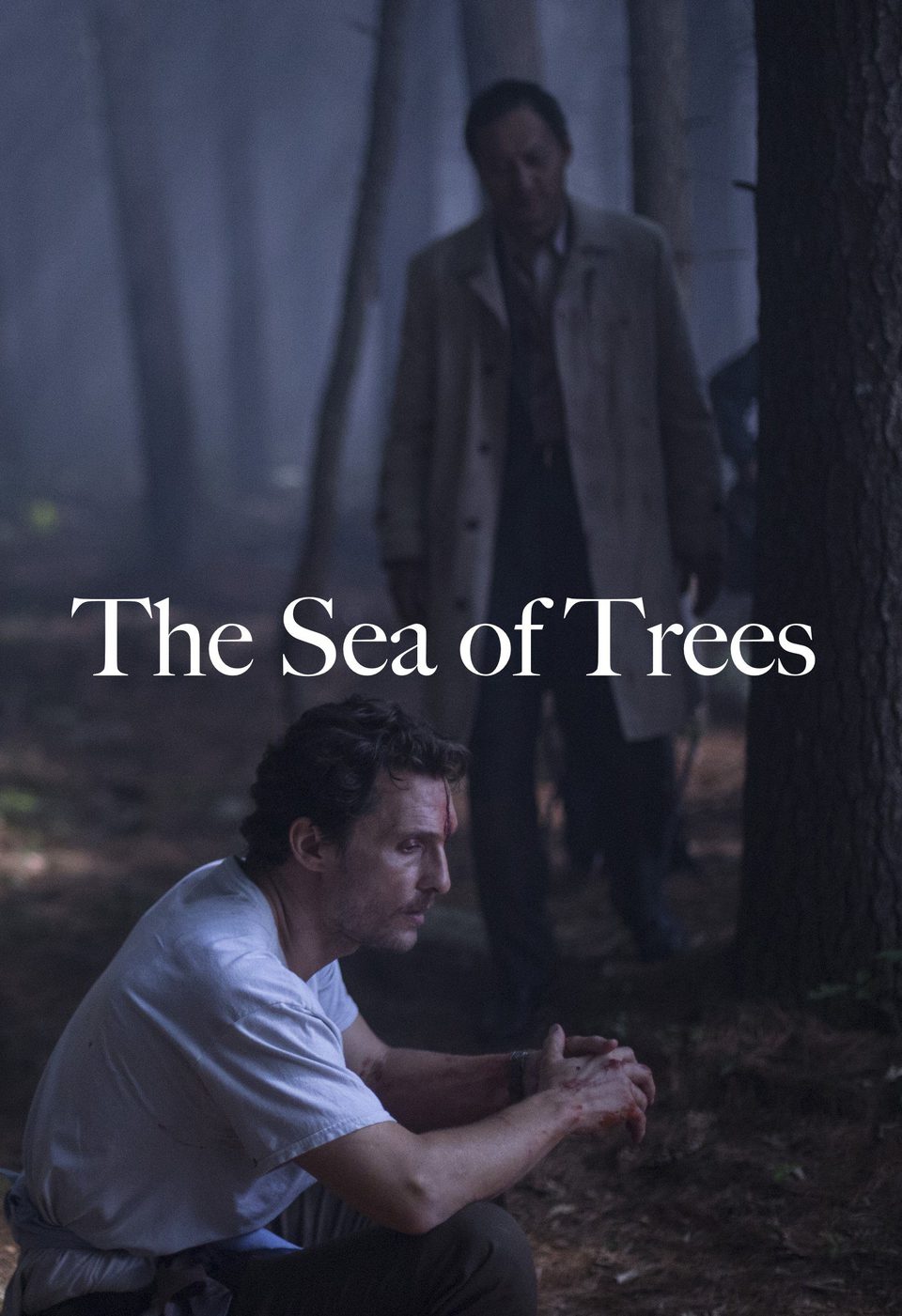 Cartel de El mar de árboles - 'The Sea of Trees'