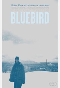 Cartel de Bluebird