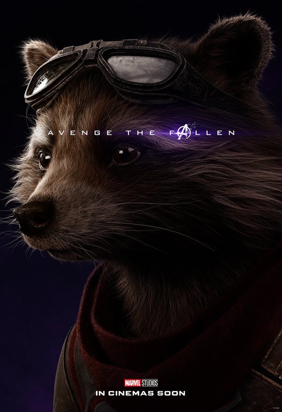 Cartel de Vengadores: Endgame - Rocket
