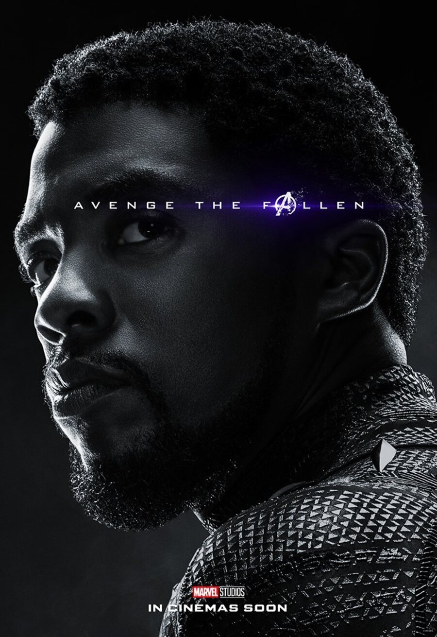 Cartel de Vengadores: Endgame - T'Challa / Black Panther