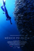 México Pelágico