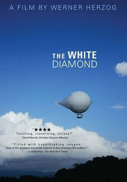 Cartel de The White Diamond