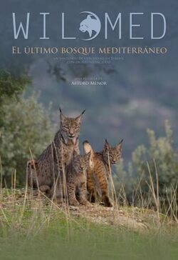 Cartel de Wilmed, el último bosque mediterráneo