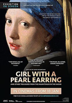 fuego Representar Recogiendo hojas La joven de la perla y otros tesoros del Mauritshuis (2014) - Película  eCartelera