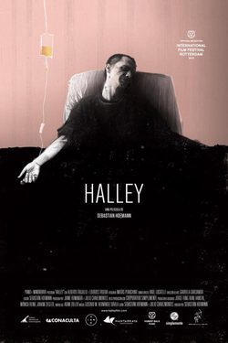 Cartel de Halley