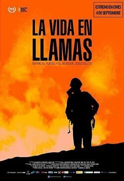 Cartel de La vida en llamas