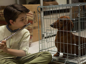 Wiener-Dog