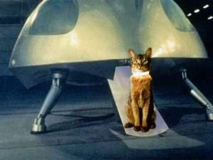 El gato que vino del espacio