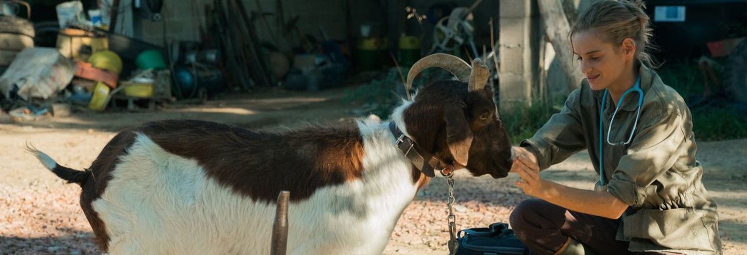 Una veterinaria en la Borgoña