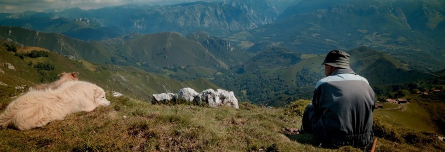 Salvajes, el cuento del lobo