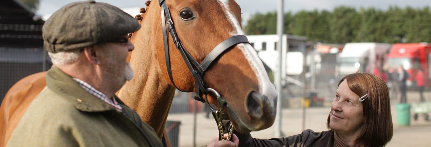 Caballo ganador (Dark Horse)