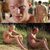 Paul Bettany desnudo integral en 'Destino de caballero'