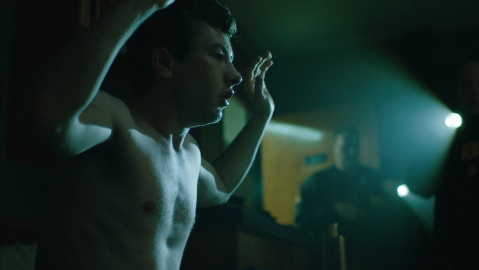 American Animals