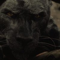 Mowgli