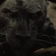 Mowgli: La leyenda de la selva