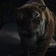 Mowgli: La leyenda de la selva