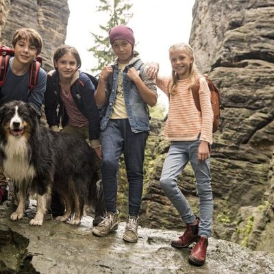 Los Cinco y el valle de los dinosaurios