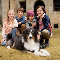 Los cinco y el valle de los dinosaurios