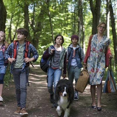 Los Cinco y el valle de los dinosaurios