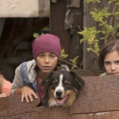 Los Cinco y el valle de los dinosaurios