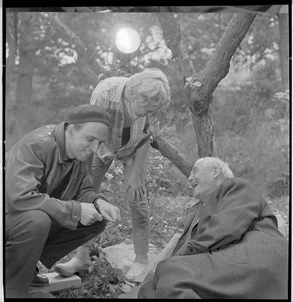 Bergman, su gran año