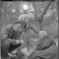 Bergman, su gran año