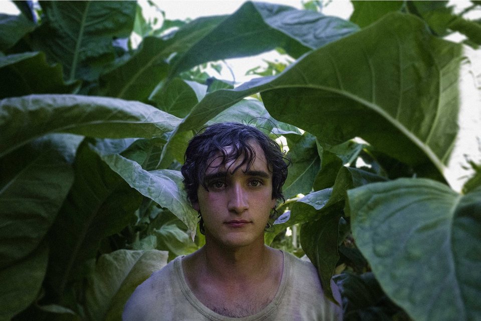 Lazzaro feliz