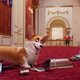 Corgi, las mascotas de la reina
