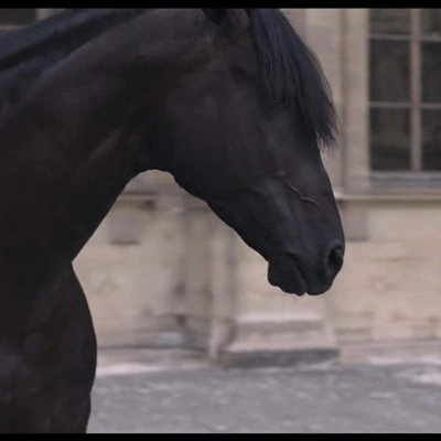 Un peuple et son roi