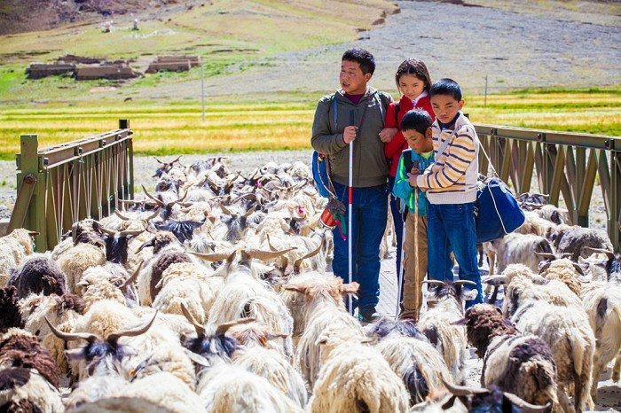 Ballad From Tibet