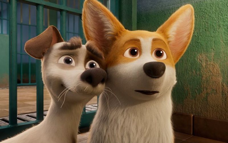 Corgi, las mascotas de la reina