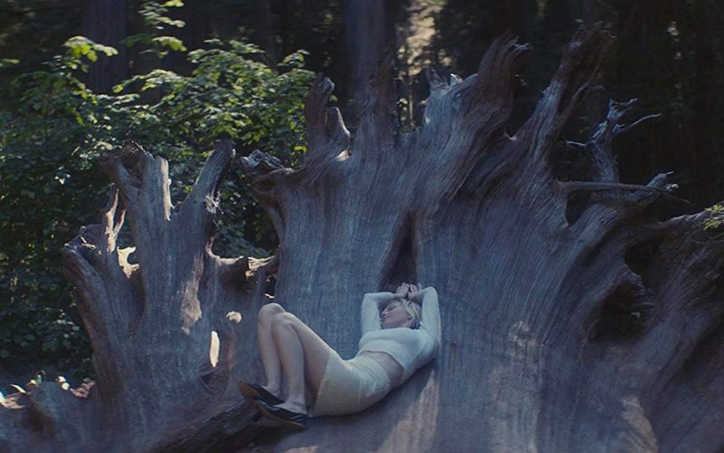 Woodshock