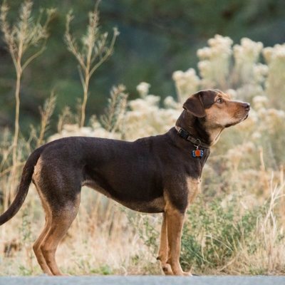 Uno más de la familia