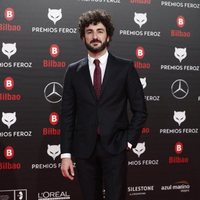Miki Esparbé en la alfombra roja de los Premios Feroz 2019