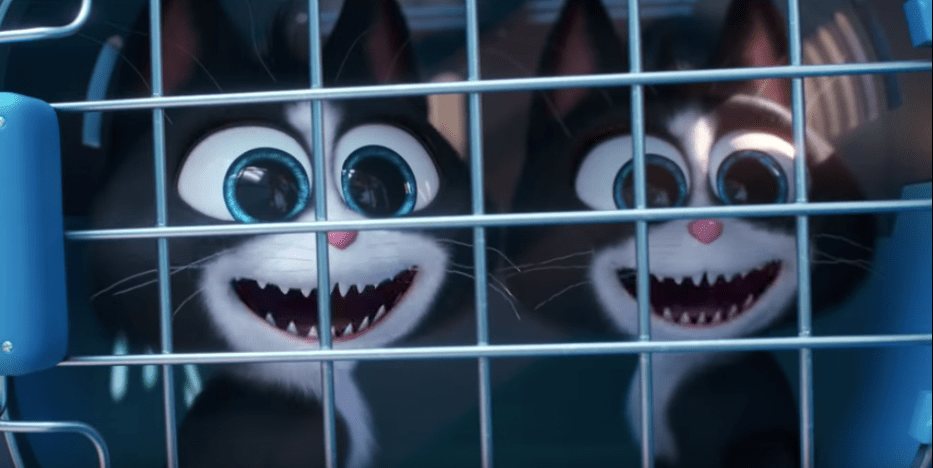Mascotas 2
