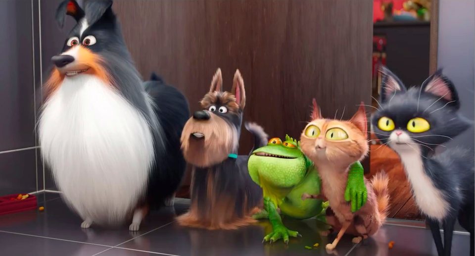 Mascotas 2
