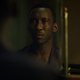 Green Book