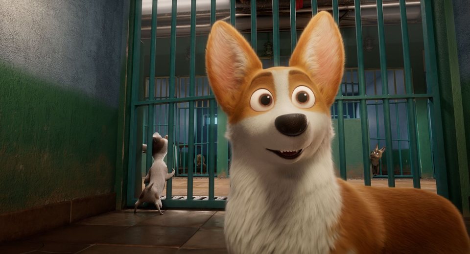 Corgi, las mascotas de la reina