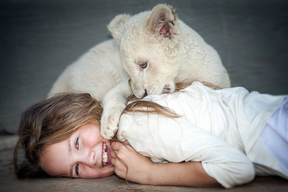 Mia y el león blanco