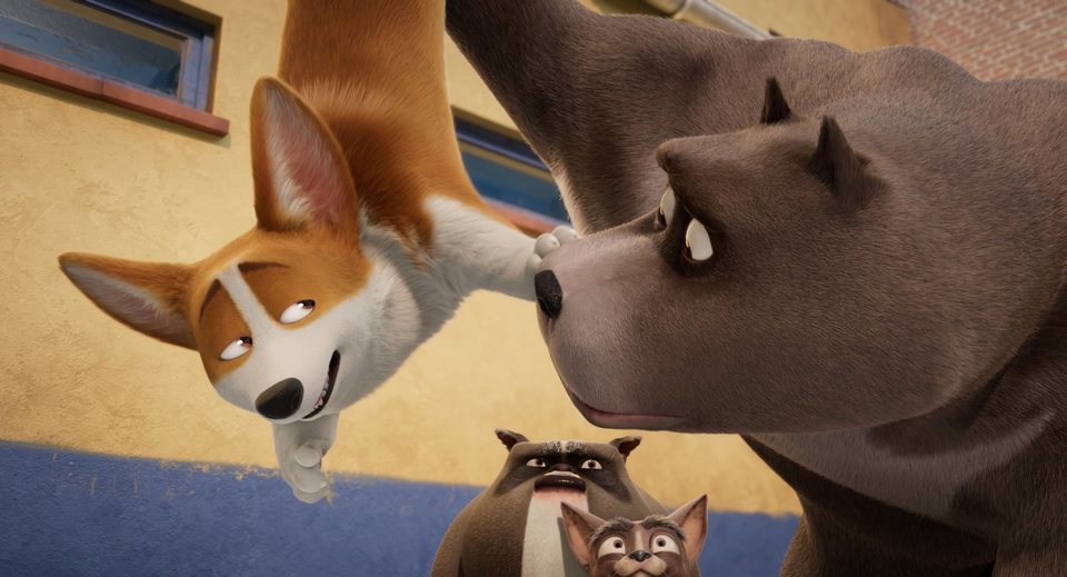 Corgi, las mascotas de la reina