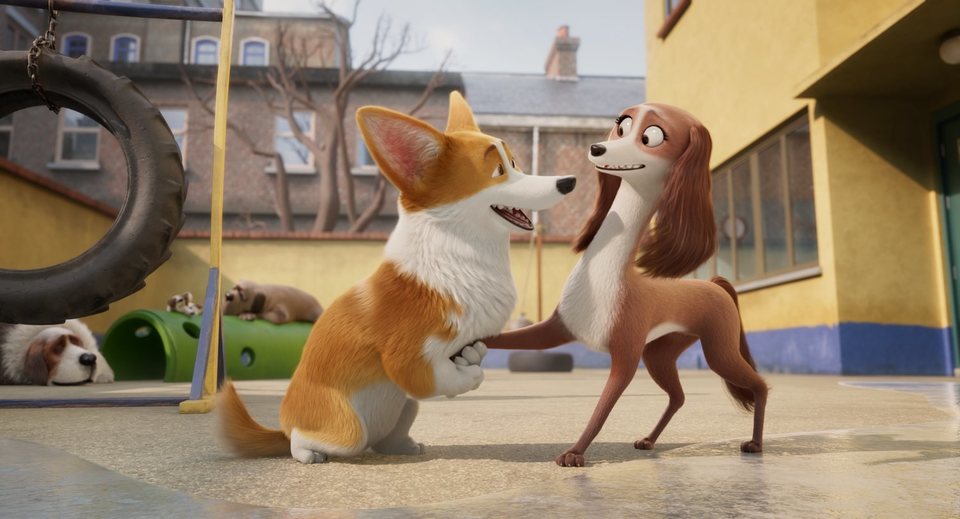 Corgi, las mascotas de la reina