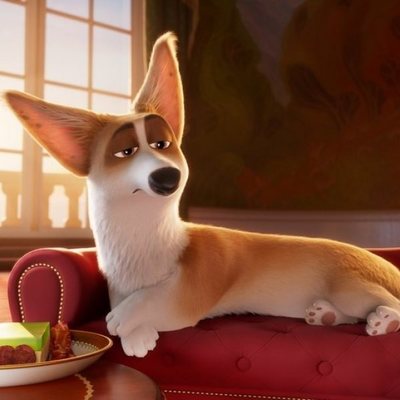 Corgi, las mascotas de la reina
