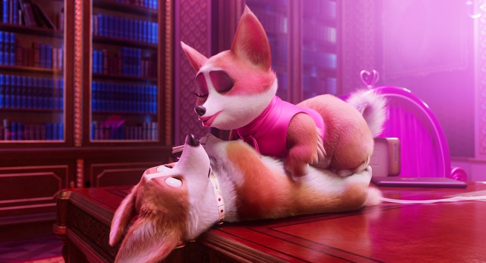 Corgi, las mascotas de la reina