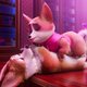Corgi, las mascotas de la reina